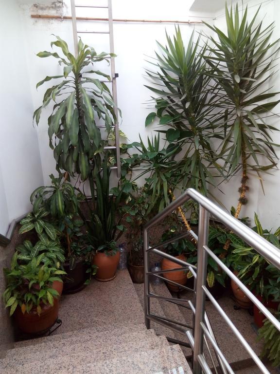 Residencial Moeda 호텔 코임브라 외부 사진